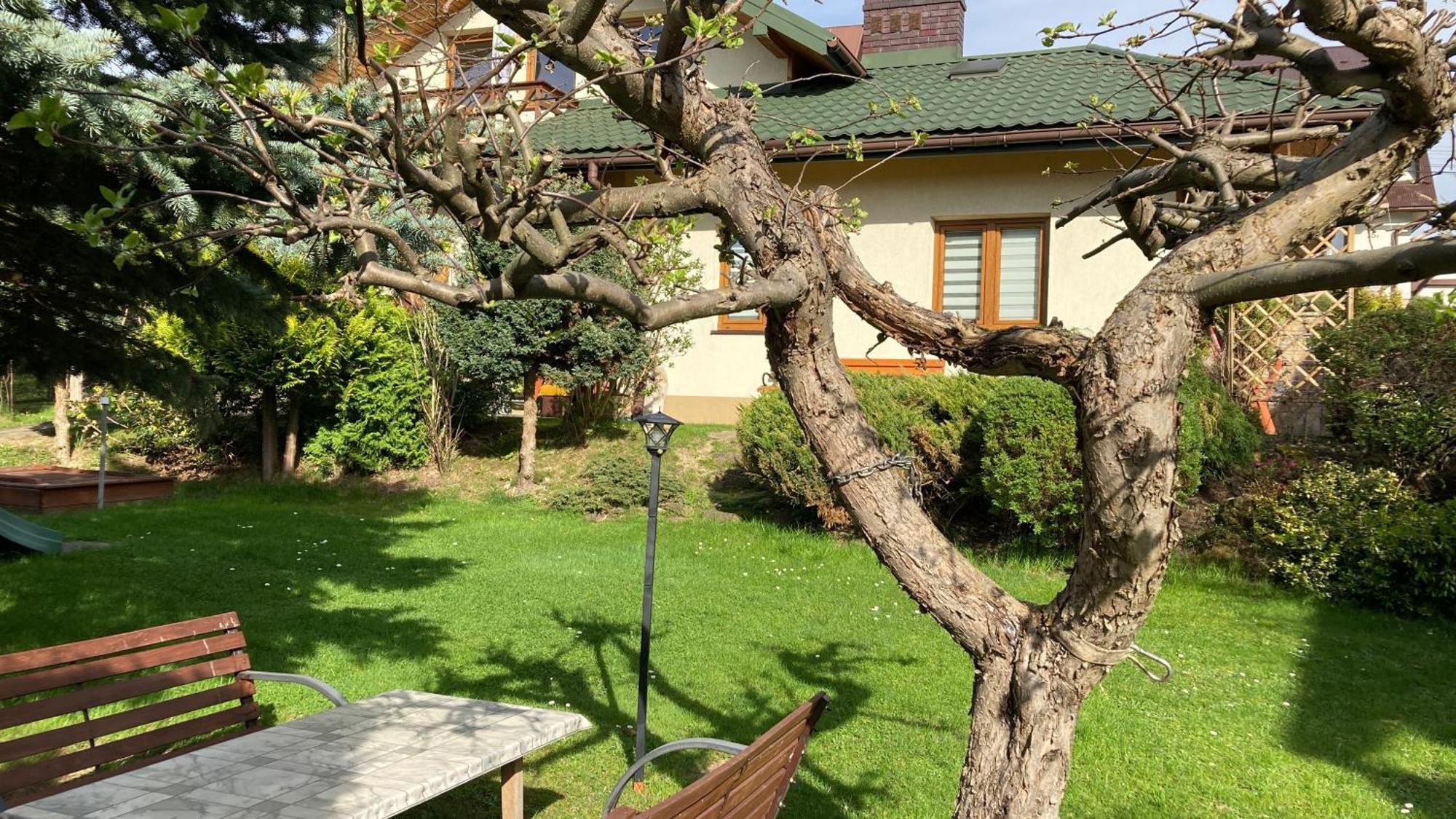 Apartamenty-Studio Noclegi Wczasy Wakacje Ferie - Pobyty Rodzinne Rabka Bagian luar foto